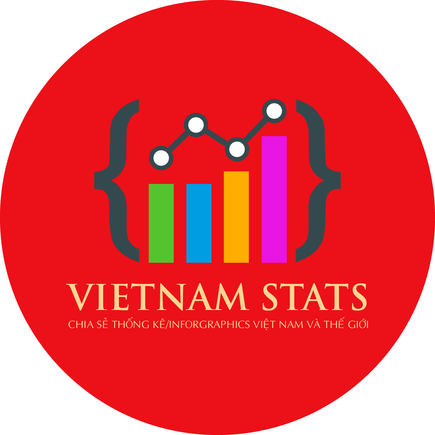 LOGO VIETNAM STATS
